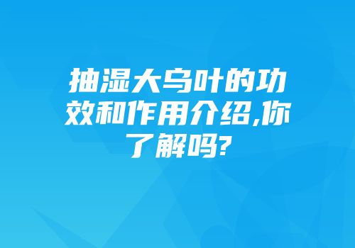 抽湿大乌叶的功效和作用介绍,你了解吗?