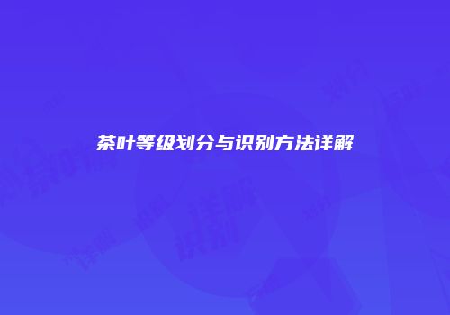 茶叶等级划分与识别方法详解