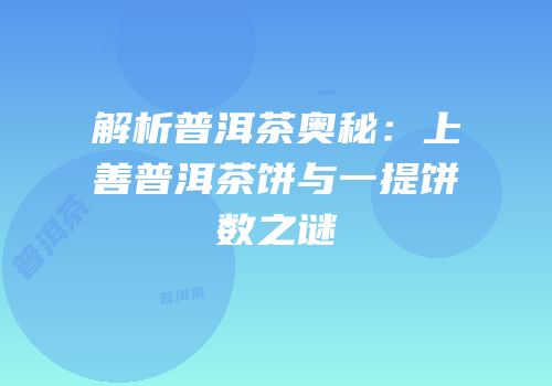 解析普洱茶奥秘：上善普洱茶饼与一提饼数之谜