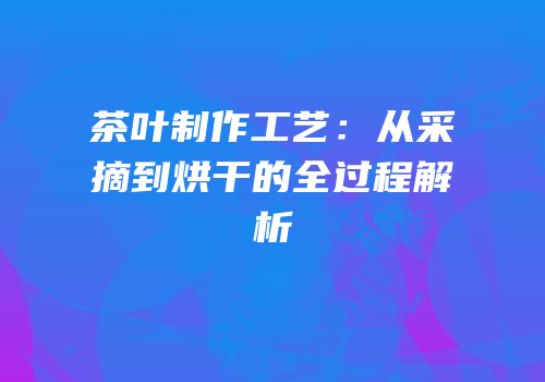 茶叶制作工艺：从采摘到烘干的全过程解析