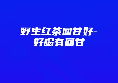 野生红茶回甘好-好喝有回甘