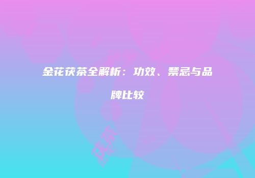 金花茯茶全解析：功效、禁忌与品牌比较