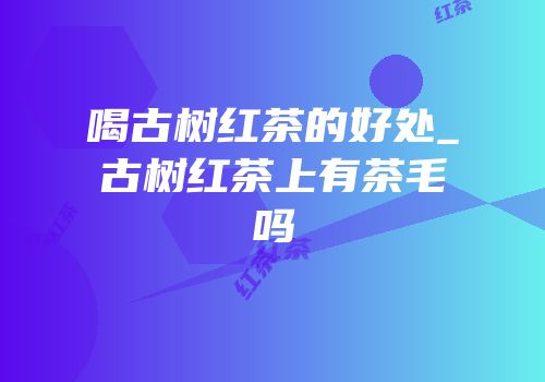 喝古树红茶的好处_古树红茶上有茶毛吗