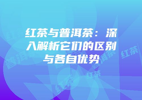 红茶与普洱茶：深入解析它们的区别与各自优势
