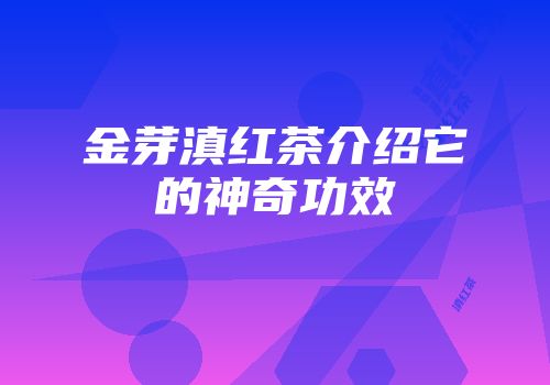 金芽滇红茶介绍它的神奇功效
