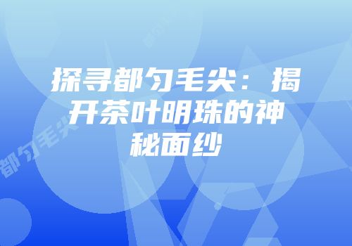 探寻都匀毛尖：揭开茶叶明珠的神秘面纱