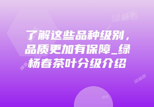 了解这些品种级别，品质更加有保障_绿杨春茶叶分级介绍
