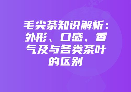 毛尖茶知识解析：外形、口感、香气及与各类茶叶的区别