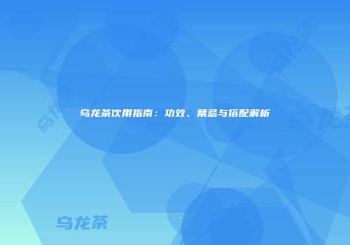 乌龙茶饮用指南：功效、禁忌与搭配解析