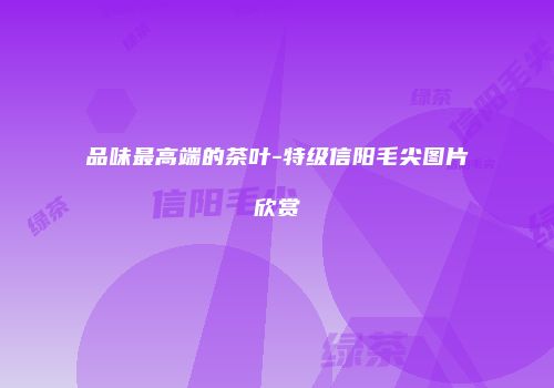品味最高端的茶叶-特级信阳毛尖图片欣赏
