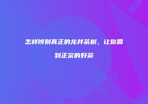 怎样辨别真正的龙井茶树，让你喝到正宗的好茶