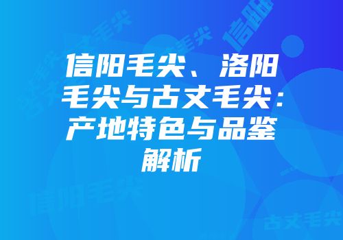 信阳毛尖、洛阳毛尖与古丈毛尖：产地特色与品鉴解析