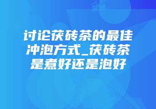 讨论茯砖茶的最佳冲泡方式_茯砖茶是煮好还是泡好