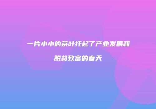 一片小小的茶叶托起了产业发展和脱贫致富的春天