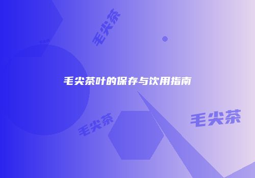 毛尖茶叶的保存与饮用指南