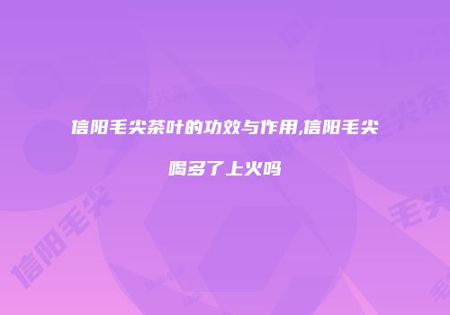 信阳毛尖茶叶的功效与作用,信阳毛尖喝多了上火吗