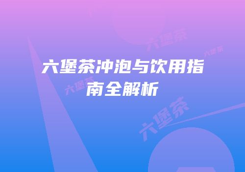 六堡茶冲泡与饮用指南全解析