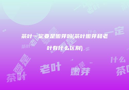 茶叶一定要是嫩芽吗(茶叶嫩芽和老叶有什么区别)