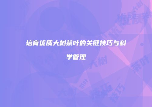 培育优质大树茶叶的关键技巧与科学管理