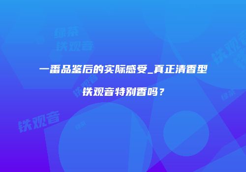 一番品鉴后的实际感受_真正清香型铁观音特别香吗？