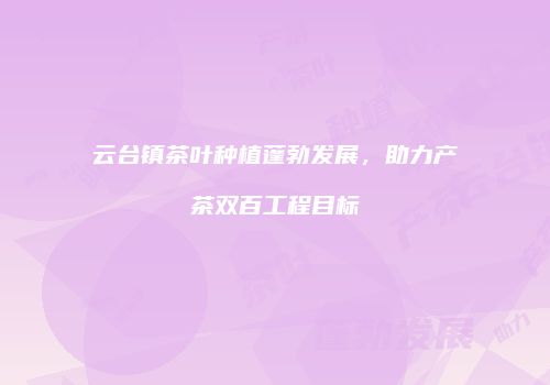 云台镇茶叶种植蓬勃发展，助力产茶双百工程目标