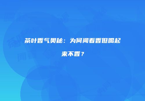 茶叶香气奥秘：为何闻着香但喝起来不香？