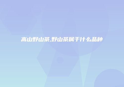 高山野山茶,野山茶属于什么品种