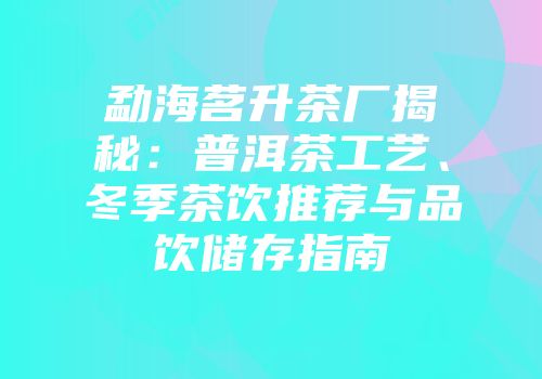 勐海茗升茶厂揭秘：普洱茶工艺、冬季茶饮推荐与品饮储存指南