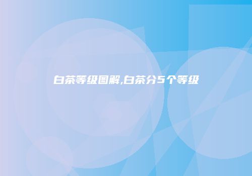 白茶等级图解,白茶分5个等级
