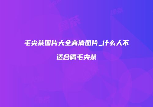 毛尖茶图片大全高清图片_什么人不适合喝毛尖茶
