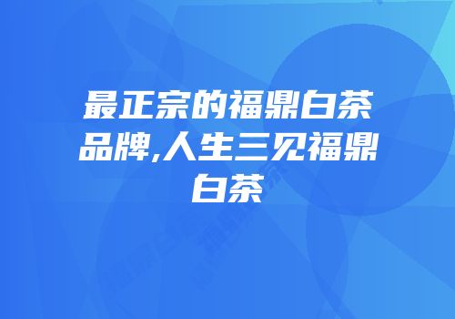 最正宗的福鼎白茶品牌,人生三见福鼎白茶
