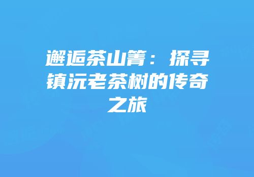 邂逅茶山箐：探寻镇沅老茶树的传奇之旅
