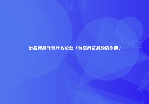 勿忘我茶叶有什么功效「勿忘我花茶的副作用」