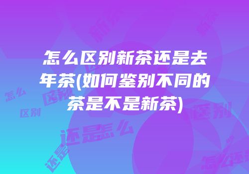 怎么区别新茶还是去年茶(如何鉴别不同的茶是不是新茶)