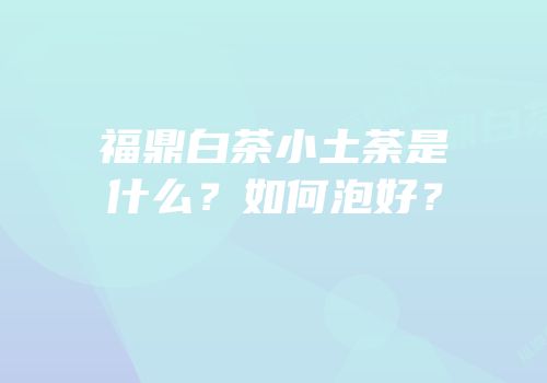 福鼎白茶小土荼是什么？如何泡好？