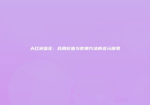 大红袍菊花：药用价值与使用方法的多元探索