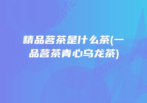 精品茗茶是什么茶(一品茗茶青心乌龙茶)