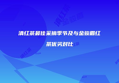 滇红茶最佳采摘季节及与金骏眉红茶优劣对比