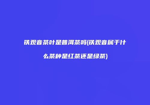 铁观音茶叶是普洱茶吗(铁观音属于什么茶种是红茶还是绿茶)