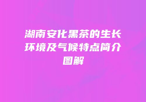 湖南安化黑茶的生长环境及气候特点简介图解