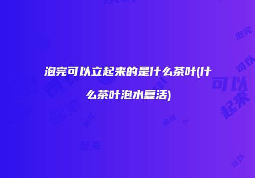 泡完可以立起来的是什么茶叶(什么茶叶泡水复活)