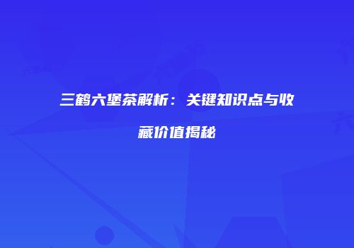 三鹤六堡茶解析：关键知识点与收藏价值揭秘