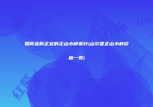 如何选购正宗的正山小种茶叶(山尔堂正山小种价格一览)
