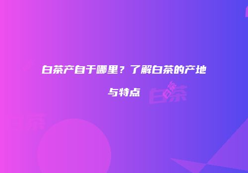 白茶产自于哪里？了解白茶的产地与特点