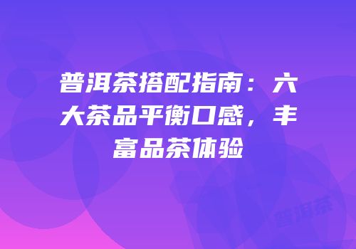 普洱茶搭配指南：六大茶品平衡口感，丰富品茶体验