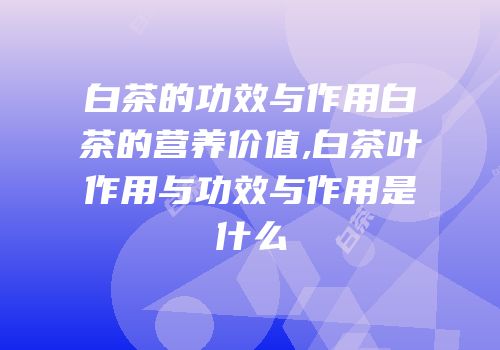 白茶的功效与作用白茶的营养价值,白茶叶作用与功效与作用是什么