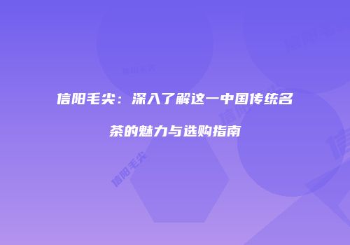 信阳毛尖：深入了解这一中国传统名茶的魅力与选购指南