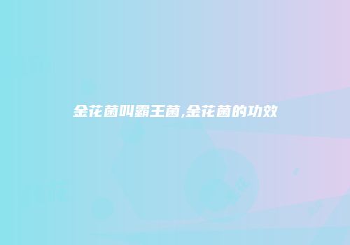 金花菌叫霸王菌,金花菌的功效