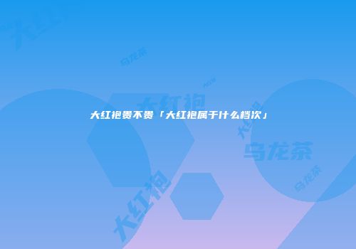 大红袍贵不贵「大红袍属于什么档次」