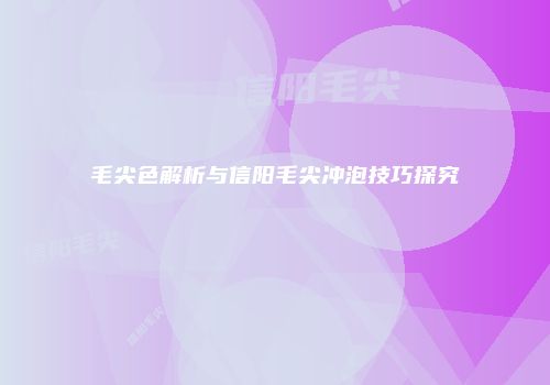 毛尖色解析与信阳毛尖冲泡技巧探究